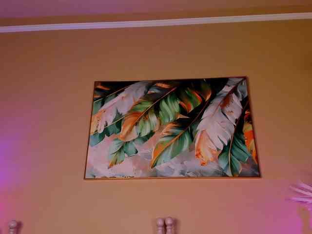 Lunamystyque's cam show statistics and live stream