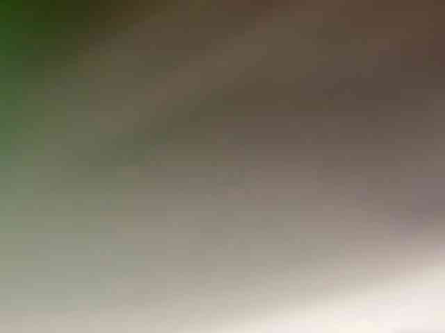 _LutiK_ webcam