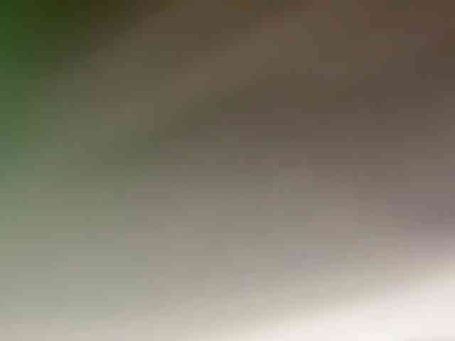 _LutiK_ webcam