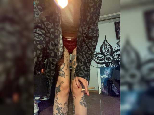Magictrick1 live cam on BongaCams