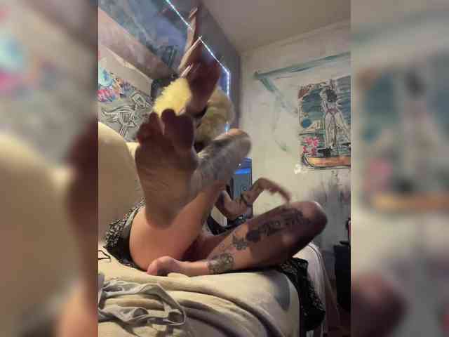 Magictrick1 webcam