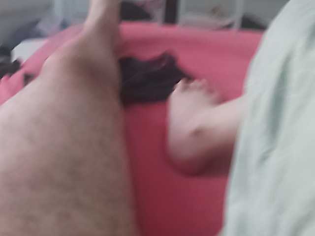 Alimel