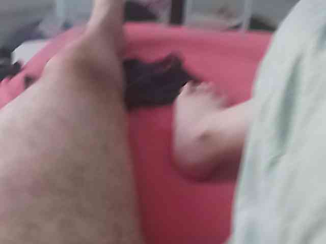 Alimel webcam