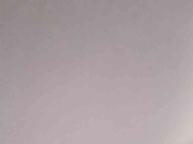 Alimel