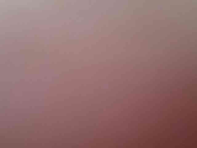 Alimel webcam