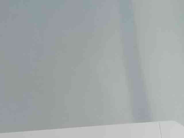 Alimel webcam
