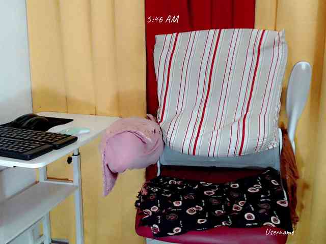 nemayhottits webcam