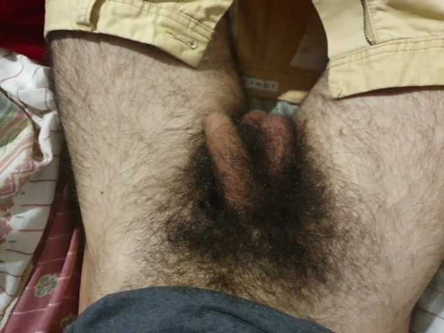 bomvemcam
