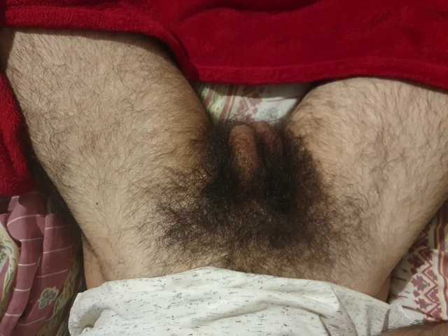 bomvemcam