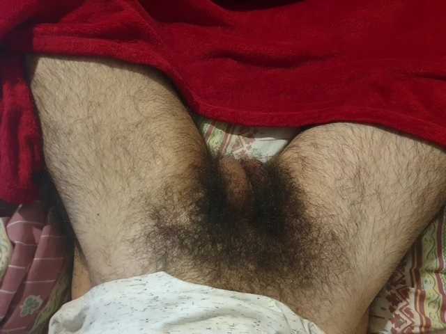 bomvemcam
