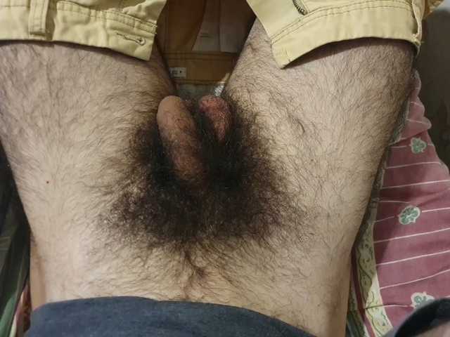 bomvemcam