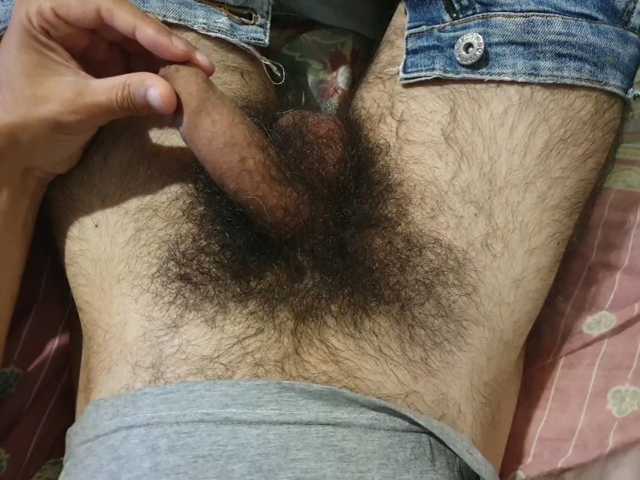bomvemcam