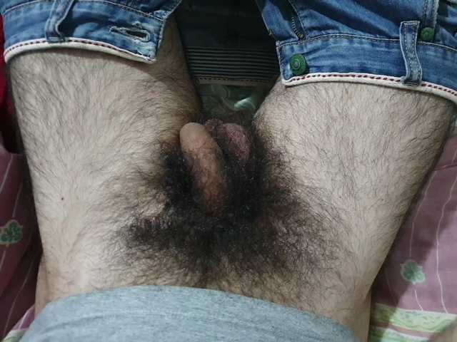 bomvemcam