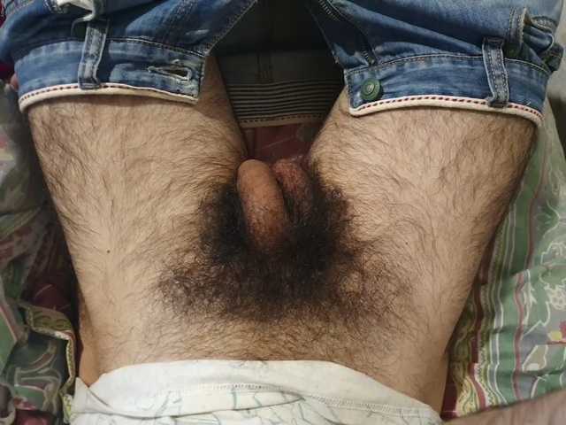 bomvemcam