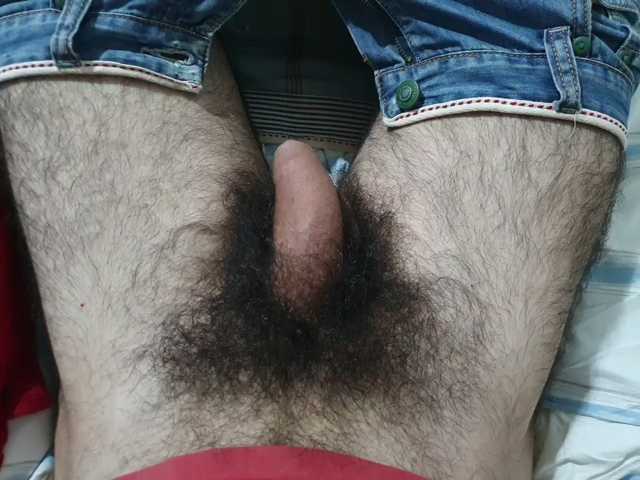 bomvemcam