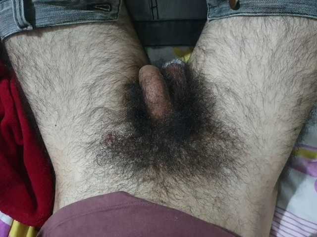 bomvemcam