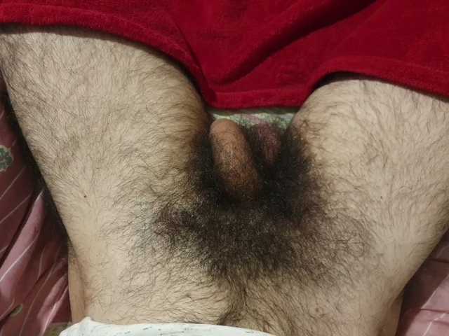 bomvemcam