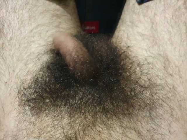 bomvemcam