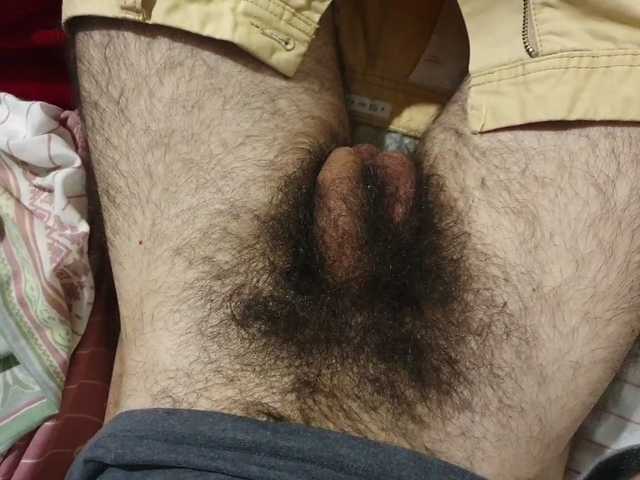 bomvemcam