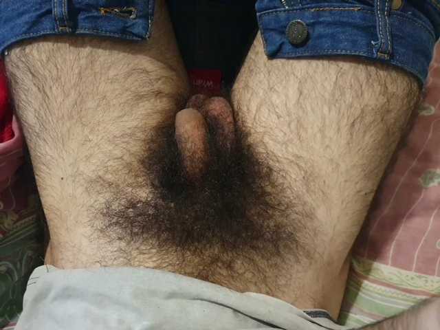 bomvemcam