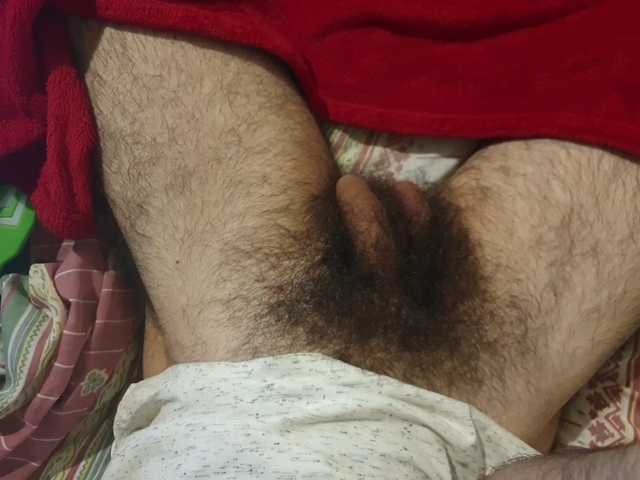 bomvemcam