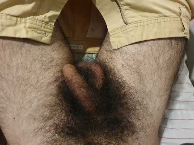 bomvemcam