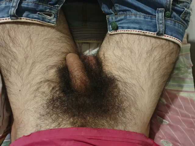 bomvemcam