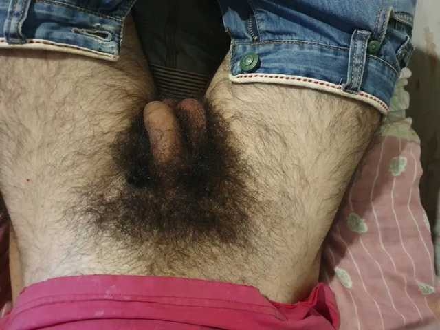 bomvemcam