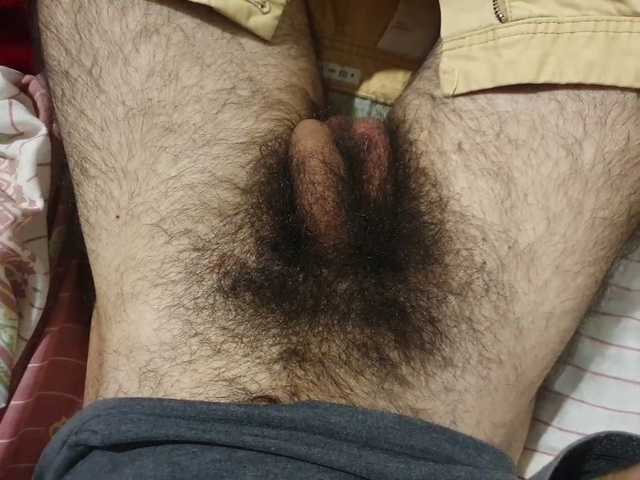bomvemcam