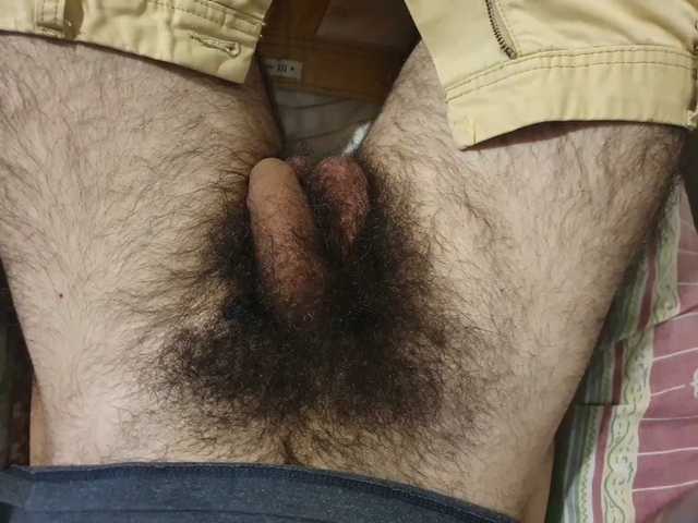 bomvemcam