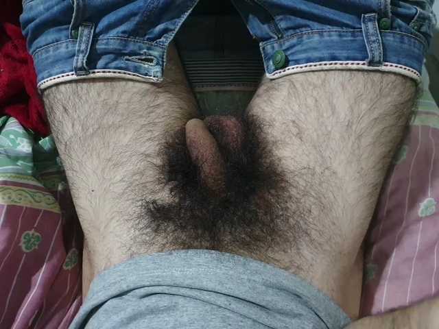 bomvemcam
