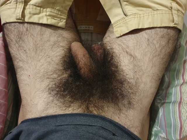 bomvemcam