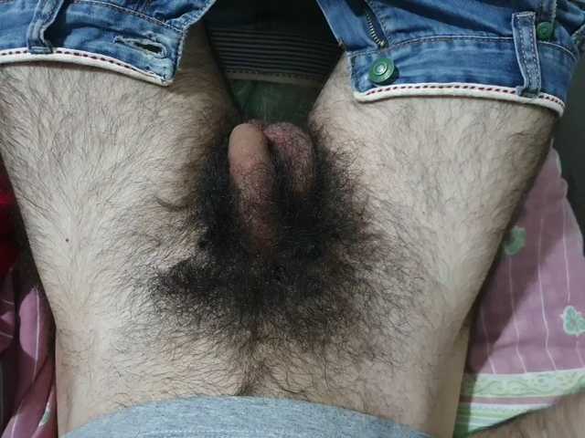 bomvemcam