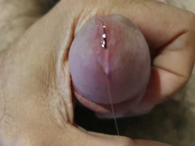 bomvemcam