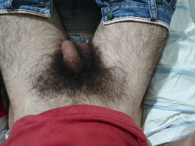 bomvemcam