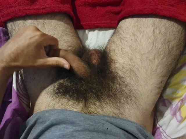 bomvemcam