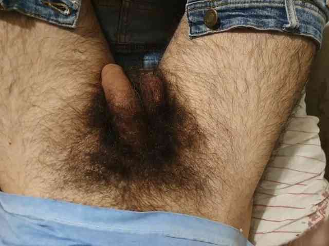 bomvemcam