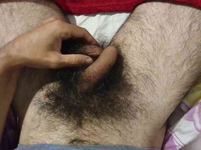 bomvemcam