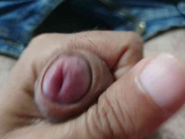 bomvemcam
