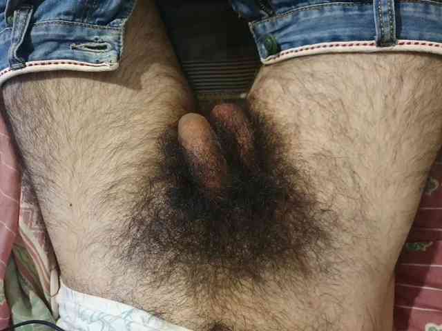 bomvemcam
