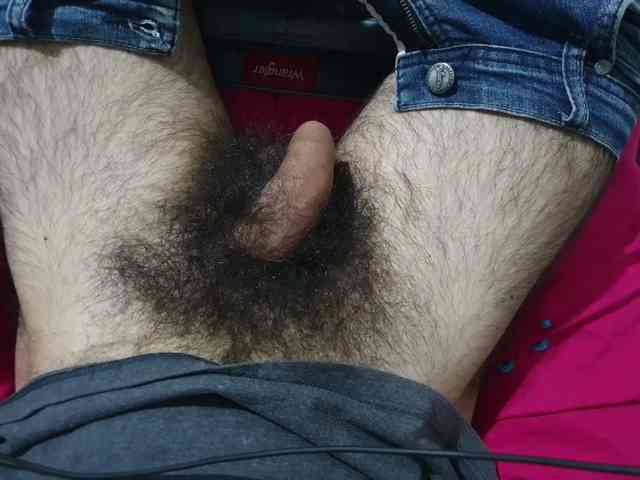 bomvemcam