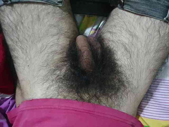 bomvemcam
