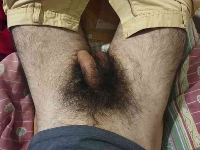 bomvemcam bomvemcam
