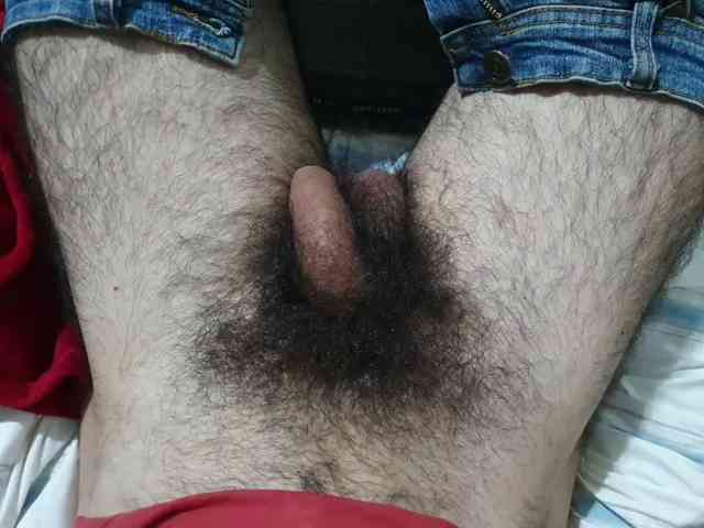 bomvemcam