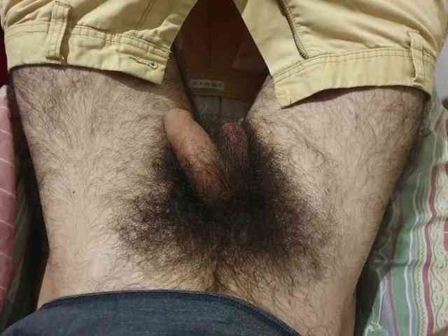 bomvemcam