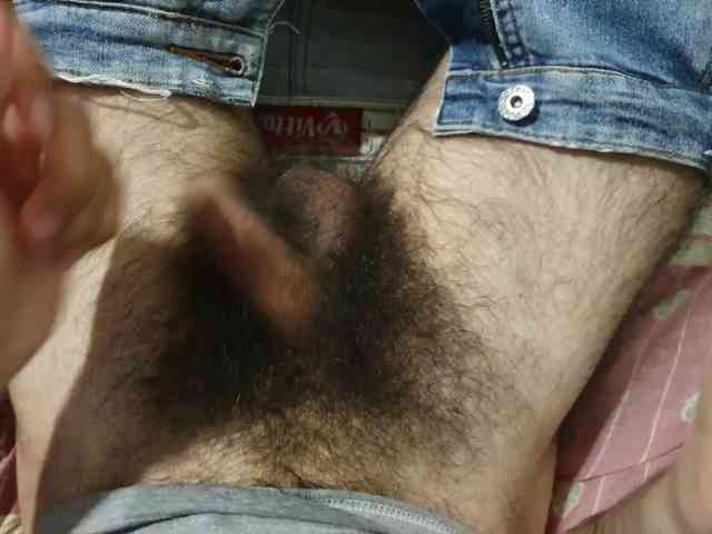 bomvemcam