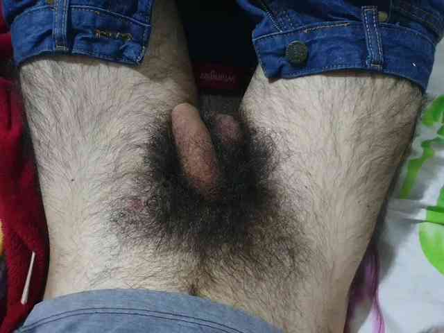 bomvemcam
