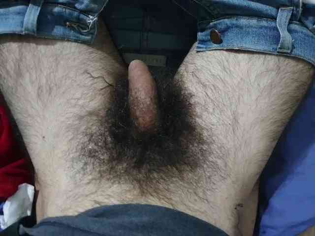 bomvemcam