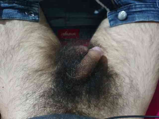 bomvemcam