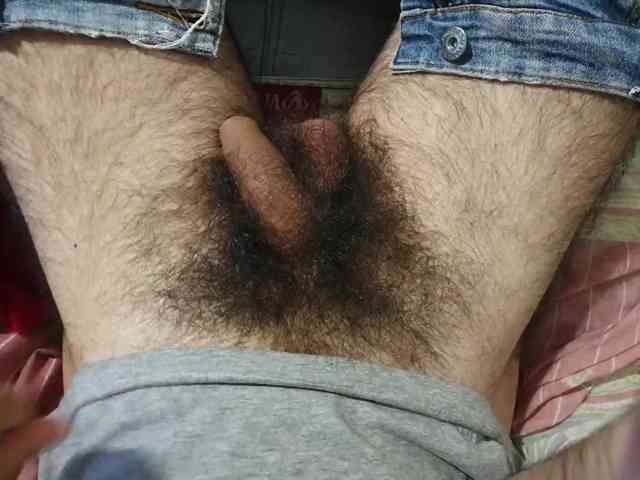 bomvemcam